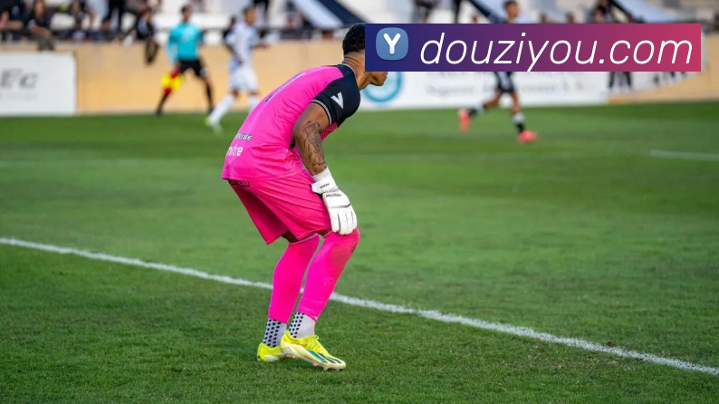 九游j9官网在线平台生态图